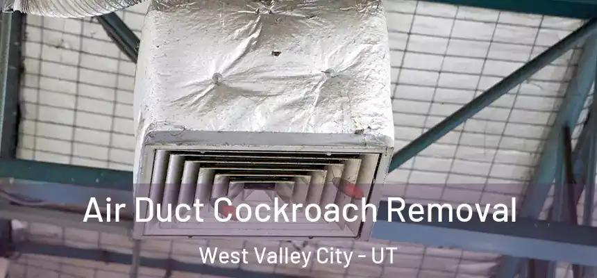Air Duct Cockroach Removal West Valley City - UT