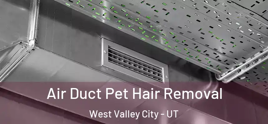 Air Duct Pet Hair Removal West Valley City - UT
