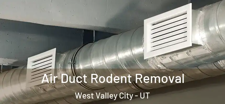 Air Duct Rodent Removal West Valley City - UT