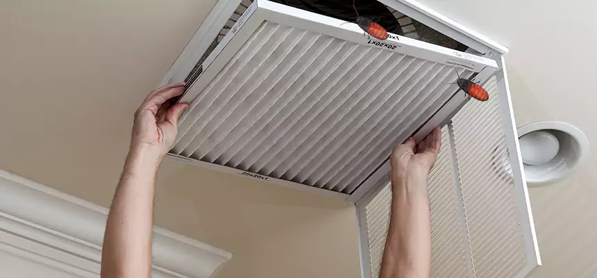 Preventive Cockroach-Proofing for Ducts in West Valley City