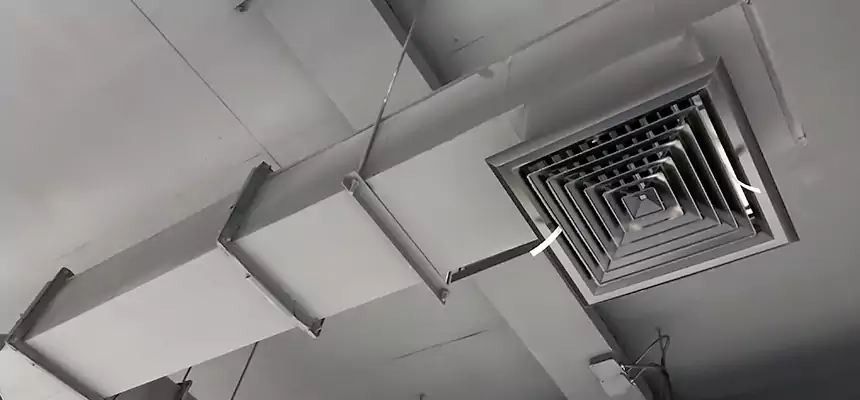 Our Rodent Droppings In Vents Services in West Valley City, UT