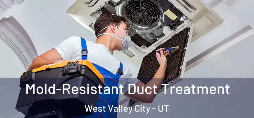 Mold-Resistant Duct Treatment West Valley City - UT
