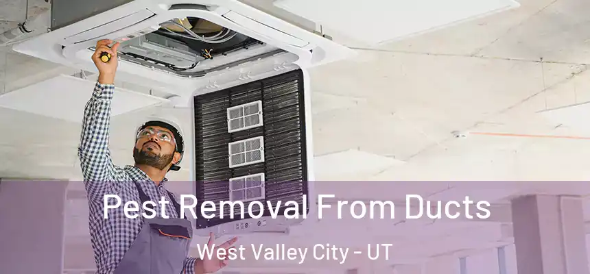 Pest Removal From Ducts West Valley City - UT