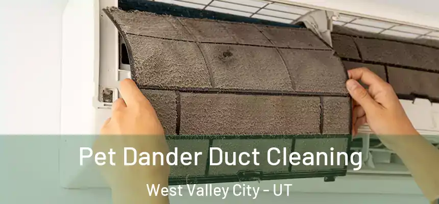 Pet Dander Duct Cleaning West Valley City - UT
