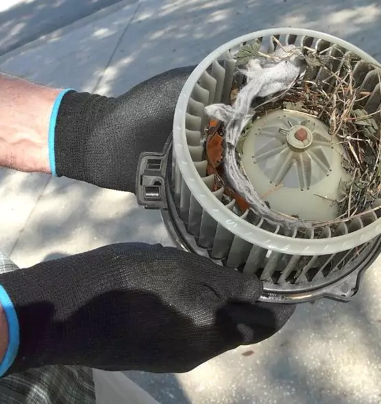 About Air Duct Mice Removal in West Valley City, UT