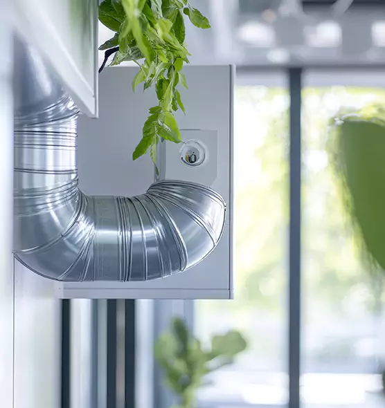 Professional Eco-Friendly Duct Cleaning Services in West Valley City, UT