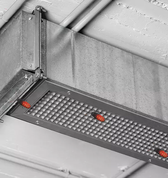 Affordable Insect Removal from Air Ducts in West Valley City, UT