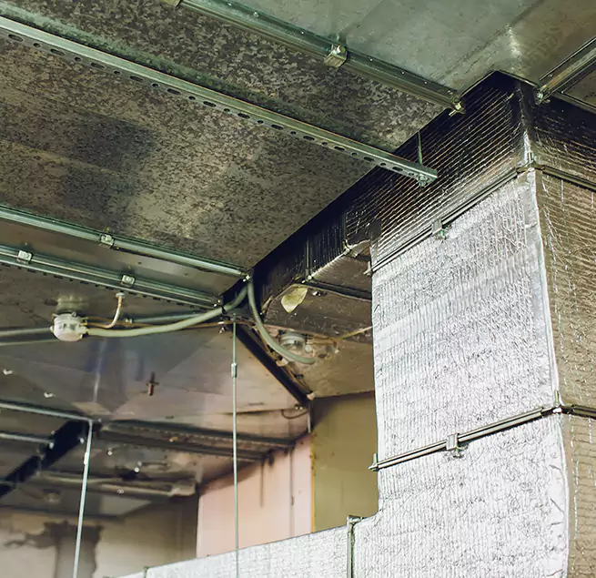 Why Homeowners & Businesses Trust Us in West Valley City, UT?